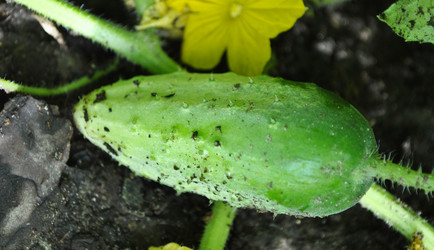 Similar image 1135703