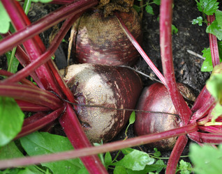 Similar image 1135706