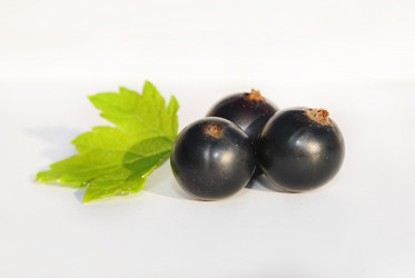 Similar image 1135708