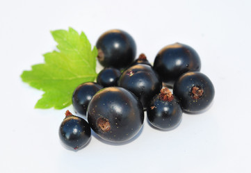 Similar image 1135710