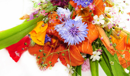 Similar image 1135749