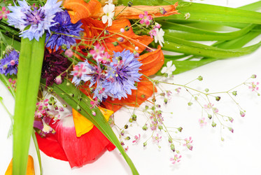 Similar image 1135750