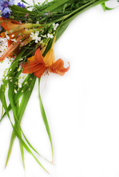 Similar image 1135751