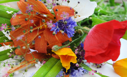 Similar image 1135752