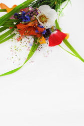 Similar image 1135753