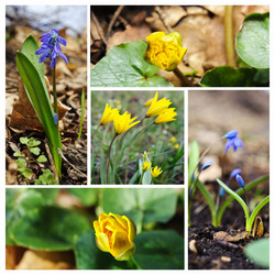 Similar image 1135765