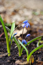 Similar image 1135770