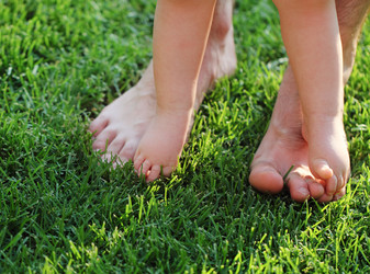 Similar image 1135831