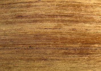 Similar image 1135875