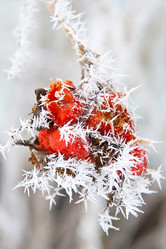 Similar image 1135879