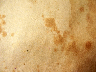 Similar image 1135884