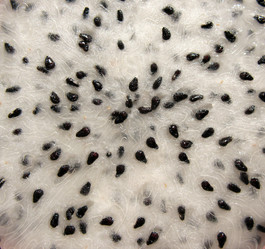 Similar image 1135889