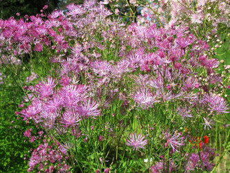 Similar image 1135906