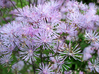 Similar image 1135907