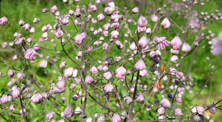 Similar image 1135908