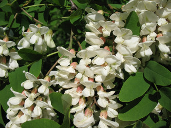 Similar image 1135914