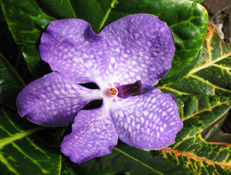 Similar image 1135919