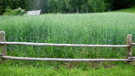 Similar image 1135937