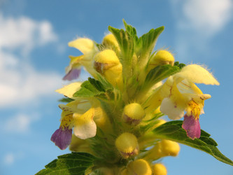 Similar image 1135939