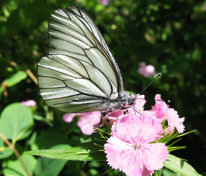 Similar image 1135941