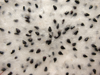 Similar image 1135944