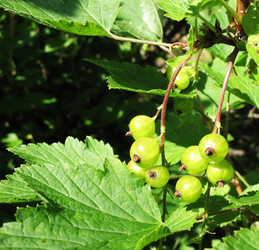 Similar image 1135949