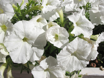 Similar image 1135952