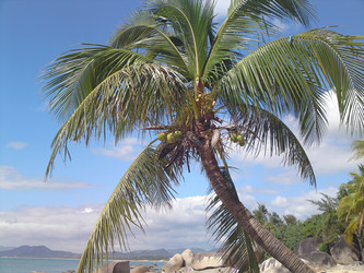 Similar image 1135976