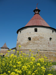 Similar image 1135995