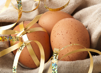 Similar image 1136007