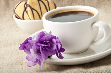 Similar image 1136014