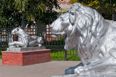 Similar image 1136160