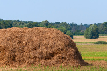 Similar image 1136161