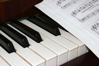 Similar image 1136163