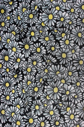 Similar image 1136164