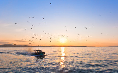 Similar image 1136332