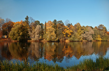 Similar image 1136366