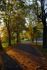 Similar image 1136371