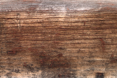 Similar image 1136432