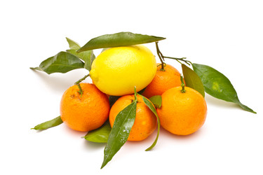 Similar image 1136709