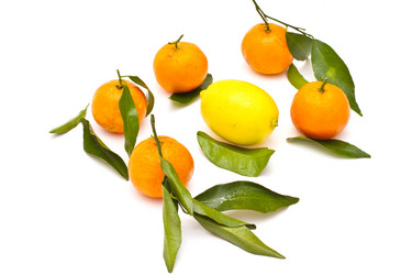 Similar image 1136711