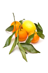 Similar image 1136790