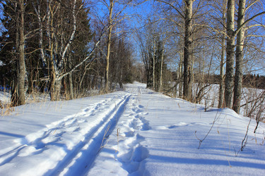 Similar image 1137052