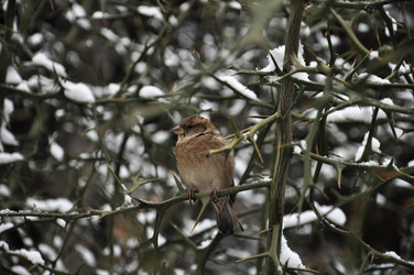 Similar image 1137068