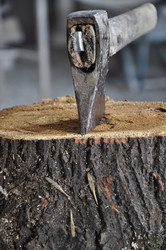 Similar image 1137069