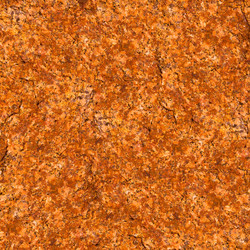 Similar image 1137097