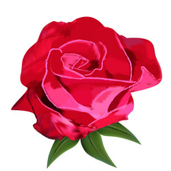 Similar image 1137111