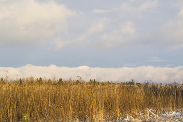 Similar image 1137122