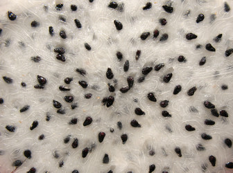 Similar image 1137180