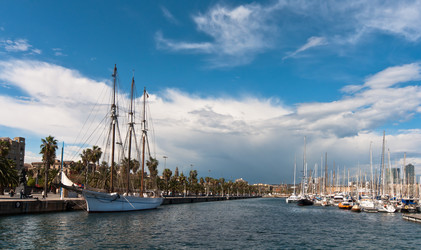 Similar image 1137200